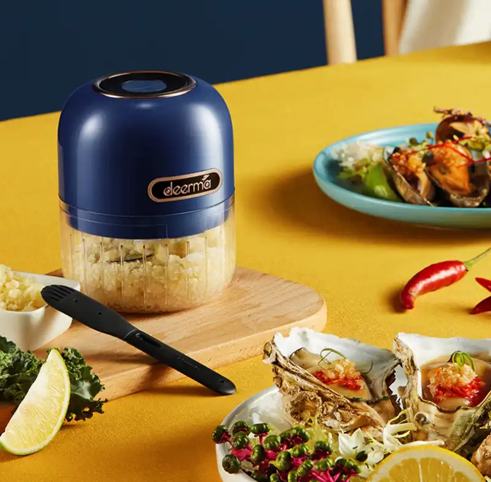 Xiaomi Deerma Wireless Electric Garlic Meat Grinder 1