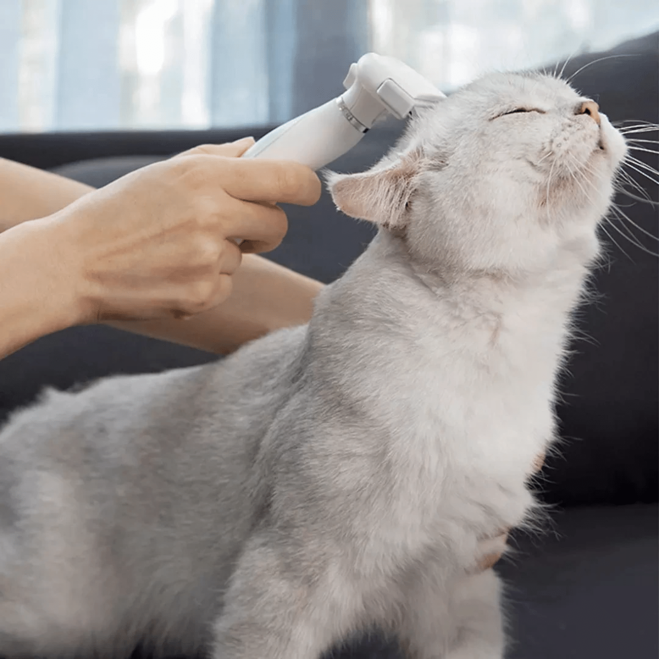 Xiaomi Youpin Pawbby Pet Hair Removal Comb Clipper Cat Dog Hair Brush Pets Trimmer Grooming Tool 2