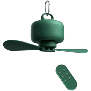 JISULIFE FA16 Remote Ceiling Fan 1