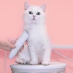 Pawbby MG-HC001A Pet Hair Clippers
